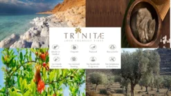 Villeroy & Boch 2 X Latte Macchiato Glas Ohne Henkel NewWave Vorteilsset 2 X Art. Nr. 1137373422 Und Gratis 1 Trinitae Körperpflegeprodukt -Küchenbedarf Geschäft 67077e59e1a1032d5c820cf4eae4ab17