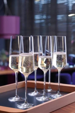 LEONARDO Sektglas PUCCINI 6er-Set 280 Ml, 069550 -Küchenbedarf Geschäft 6d191464b7925c9a162effb69855043e