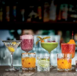 Pasabahce Martiniglas Timeless 23cl - 4 Stück -Küchenbedarf Geschäft ed7b9b8e86c0452a53f661b4baa14dca