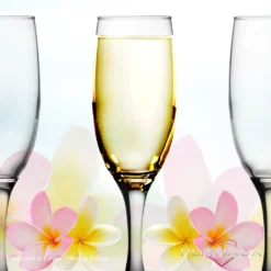 Sektgläser Bunt Aus Glas 150ml (max.190ml) Set 6-Teilig Champagnergläser Prosecco Gläser 14 Sektgläser Bunt Aus Glas 150ml (max.190ml) Set 6-Teilig Champagnergläser Prosecco Gläser -Küchenbedarf Geschäft ee679143e6d5b7595a60403f1d118b80